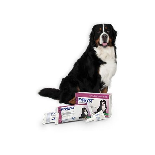 Fypryst Spot On kutya XL 40-60kg 1db kullancs- és bolhairtó csepp kutyáknak